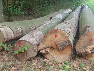 Kategoria Pozostałe ładunki