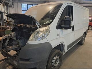 Fiat Ducato krótki niski