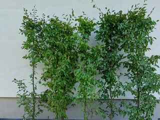Kategoria Pozostałe ładunki