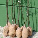 Kategoria Pozostałe ładunki