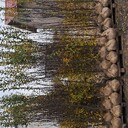 Kategoria Pozostałe ładunki