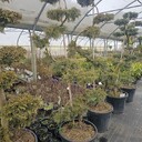 Kategoria Other loads