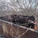 Kategoria Pozostałe ładunki