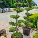 Kategoria Pozostałe ładunki