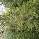 Kategoria Ładunki całopojazdowe