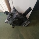 Kategoria Pozostałe ładunki