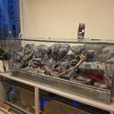 Terrarium