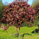 Kategoria Pozostałe ładunki