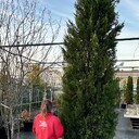 Kategoria Pozostałe ładunki