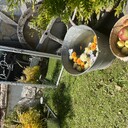 Kategoria Delikatne ładunki