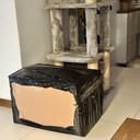 Kategoria Delikatne ładunki