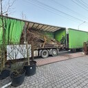 Kategoria Pozostałe ładunki