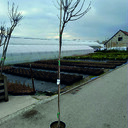 Kategoria Pozostałe ładunki